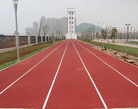 重慶公園運(yùn)動(dòng)球場地坪